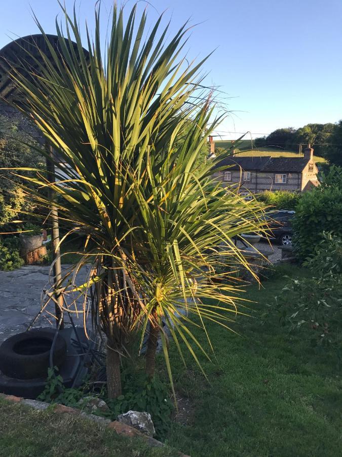 Fern Cottage Dorchester Luaran gambar