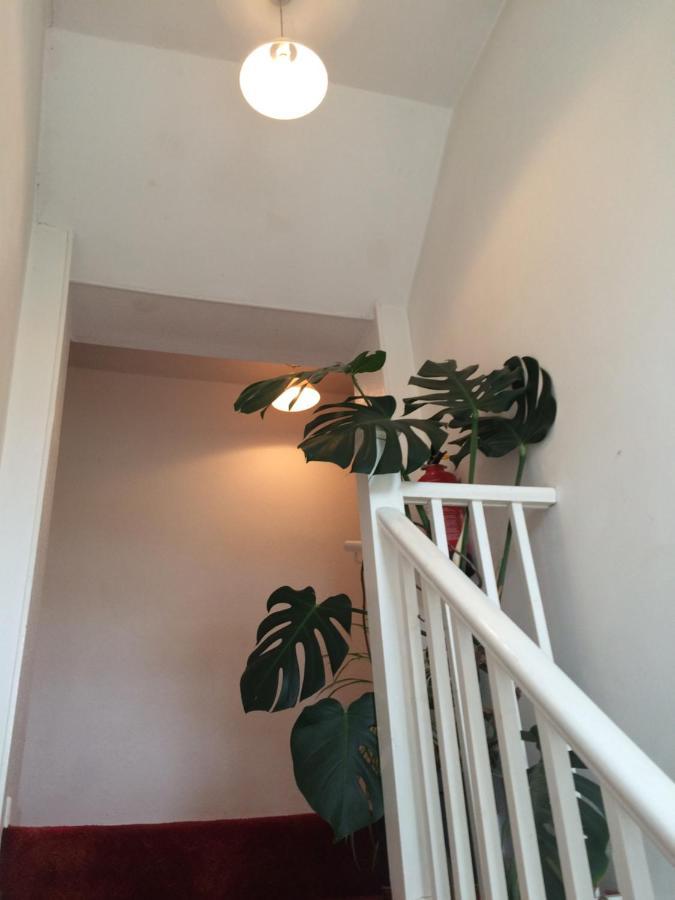 Fern Cottage Dorchester Luaran gambar